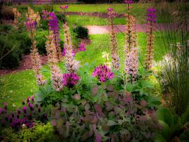 Beautiful colours and a heady scent